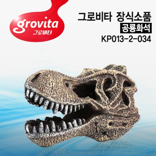 그로비타 공룡화석 장식소품[KP013-2-034]