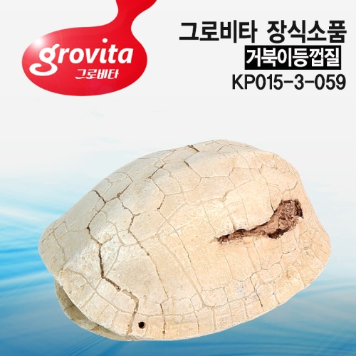 그로비타 거북이등껍질 장식소품[KP015-3-059]