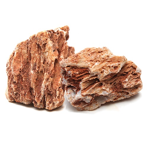계골석 [10kg] 수조 장식 자연석 돌 바닥
